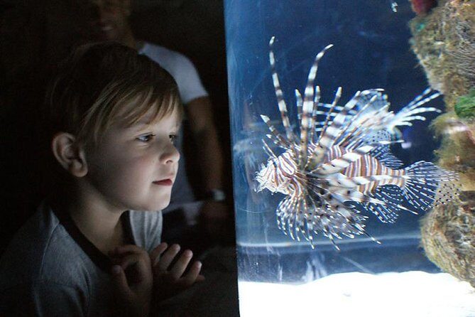 Temaiken Biopark Buenos Aires Tour - Key Points