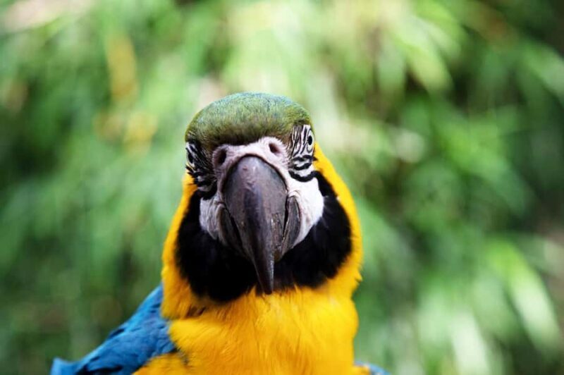 Temaiken Biopark Entry Tickets - Who Will Love Temaiken Biopark?