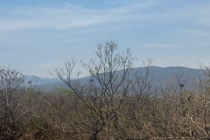 Temazcal Ceremony in Tepoztlan Healing and Tradition - Final Thoughts