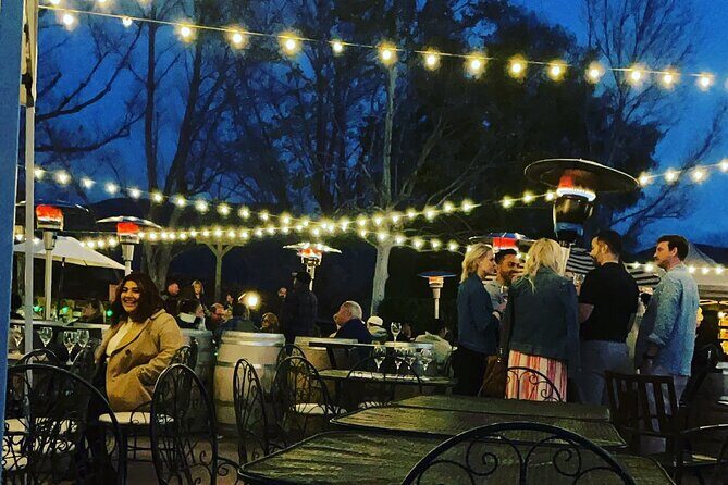 Temecula Night Out Wine Tour - Practical Tips for Travelers