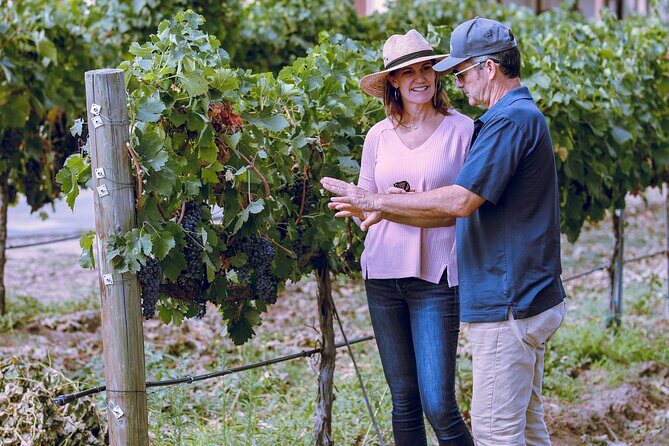 Temecula Valley 4-Hour Morning Wine Tour with Tastings Included - In-Depth Look at the Temecula Valley 4-Hour Wine Tour