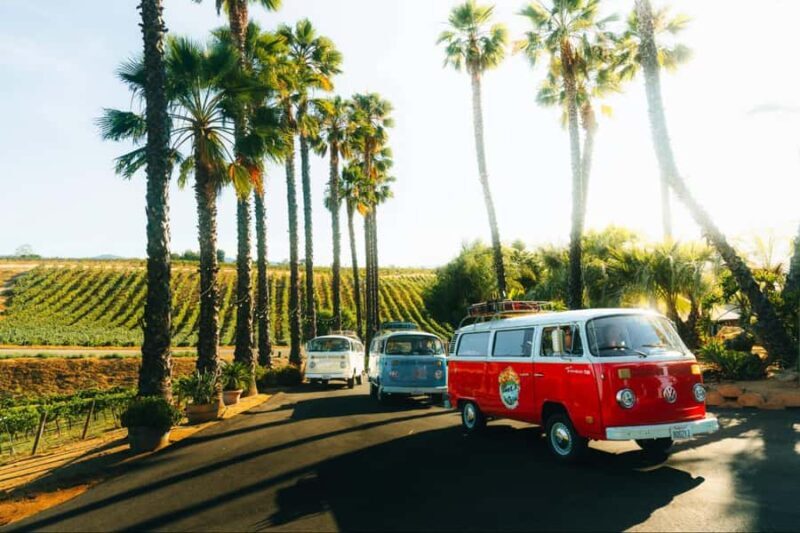 Temecula: VW Bus Wine Tour with Tastings - A Charming Ride Through Temecula’s Vineyard Landscape