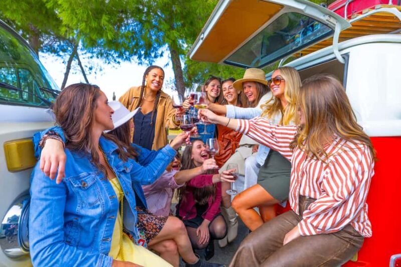 Temecula: VW Bus Wine Tour with Tastings - The Scenic Drive & Music