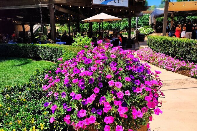 Temecula Wine Tour from Los Angeles - Discover the Temecula Wine Country from Los Angeles