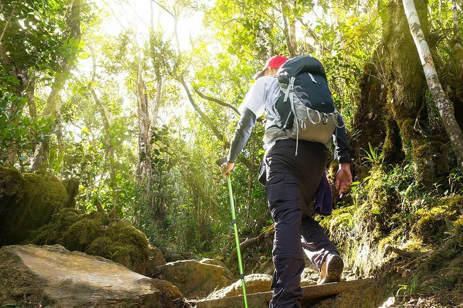 Templer Park and Kanching Waterfall Tour with Batu Caves Stopover - Final Thoughts