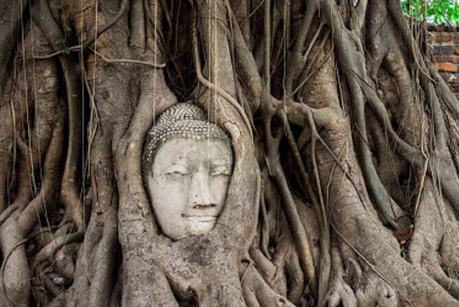 Temples of Ayutthaya Day Tour from Bangkok - A Closer Look at the Tour Experience