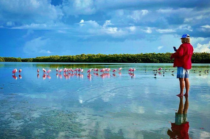 Ten Thousand Islands Eco/Dolphin Tour - Who Will Love This Tour?