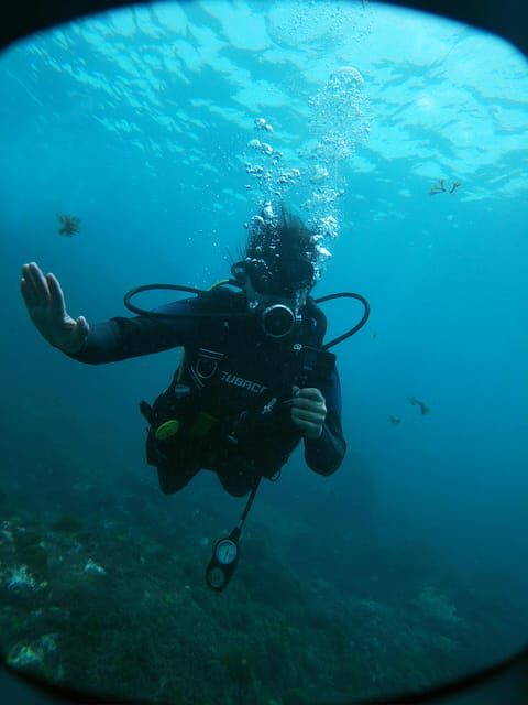 Tenerife - 2 Guided Dives for Certified Divers - Half Day - Final Thoughts