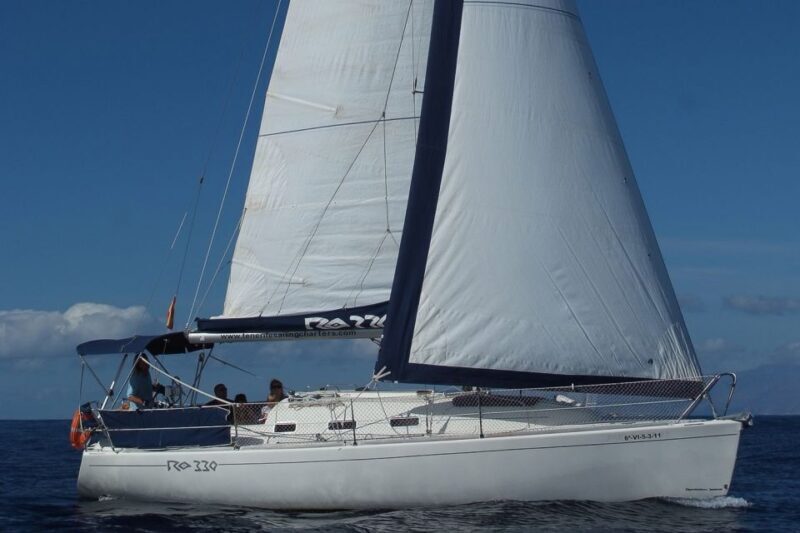 Tenerife: 3 &-6 Hour Private Whale & Dolphin Watching - Who Would Enjoy This Tour?