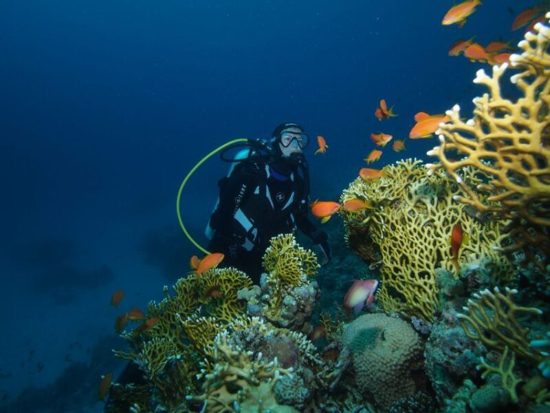 Tenerife: 3-Day Open Water Scuba Diver Course - An In-Depth Look at the Tenerife Open Water Diver Course