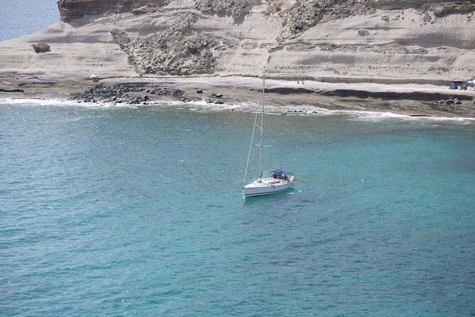Tenerife 3-Hour Discover Whales and Dolphins - An Honest Look at the Experience