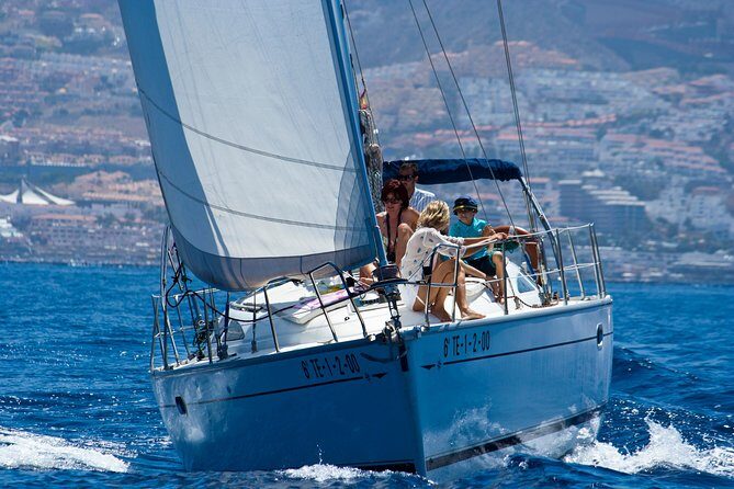 Tenerife 3-Hour Discover Whales and Dolphins - Who Should Consider This Tour?