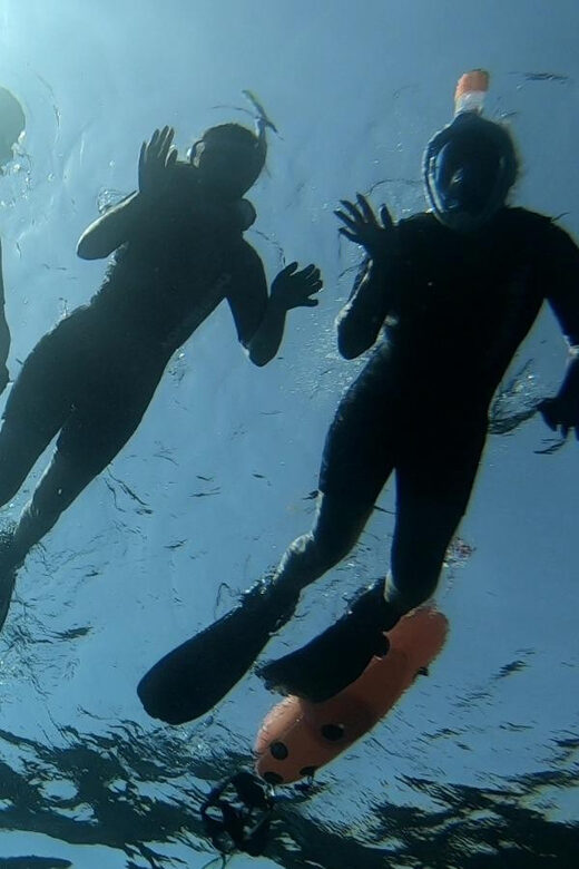 Tenerife: Alcalá Guided Snorkeling Tour - The Breakdown of the Itinerary