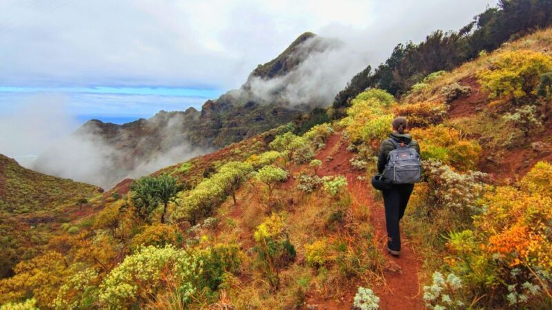 Tenerife: Anaga Hiking Tour & Enchanted Forest with Pickup - Tenerife: Anaga Hiking Tour & Enchanted Forest with Pickup – a detailed review