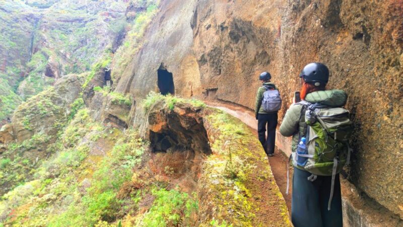 Tenerife: Anaga Hiking Tour & Enchanted Forest with Pickup - Key Points