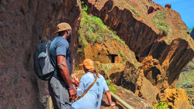 Tenerife: Anaga Hiking Tour & Enchanted Forest with Pickup - What’s Included and What to Bring