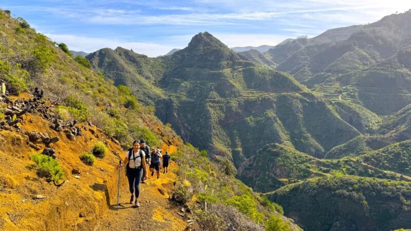 Tenerife: Anaga Hiking Tour & Enchanted Forest with Pickup - The Sum Up