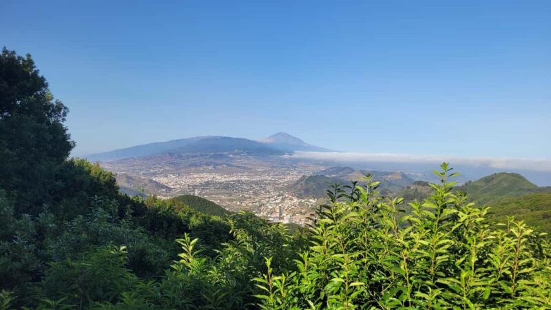 Tenerife Anaga Mountains: Circular hike in the laurel forest  small group max. 10 - Detailed Review of the Anaga Mountains Circular Hike