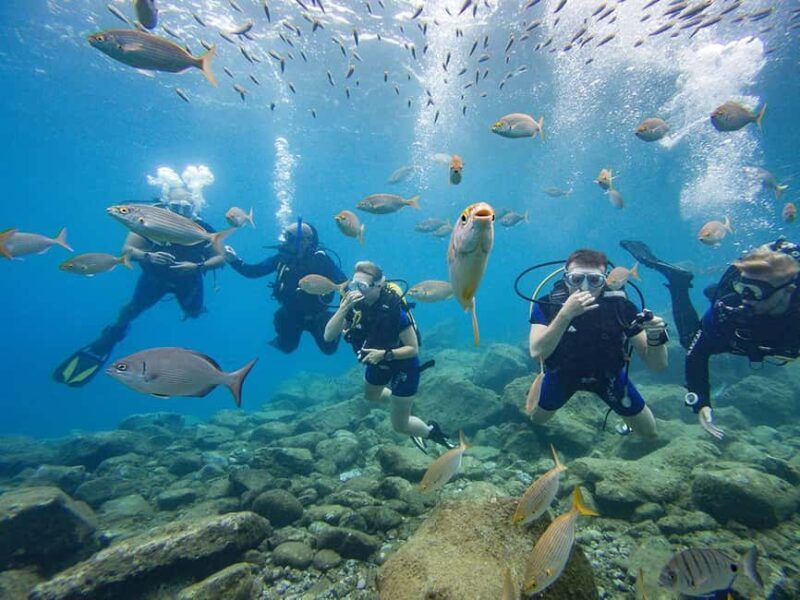 Tenerife: Beginner Scuba Dive Experience with Small Groups - Tenerife: Beginner Scuba Dive Experience with Small Groups