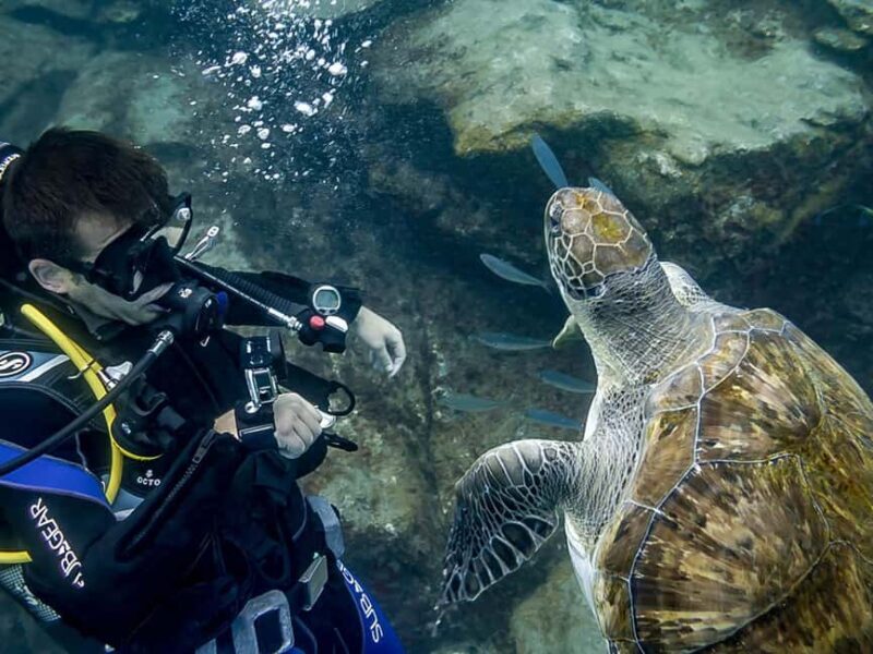 Tenerife: Beginner Scuba Dive Experience with Small Groups - Key Points