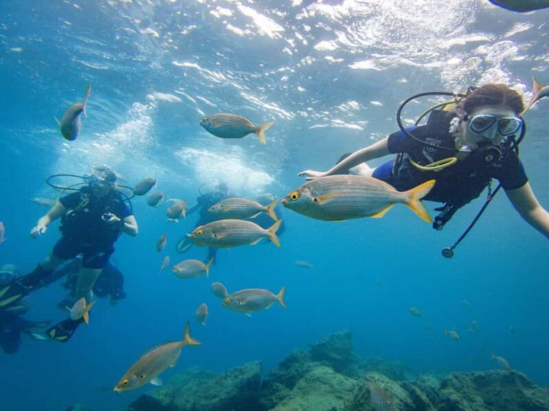 Tenerife: Beginner Scuba Dive Experience with Small Groups - Why Choose this Tour?