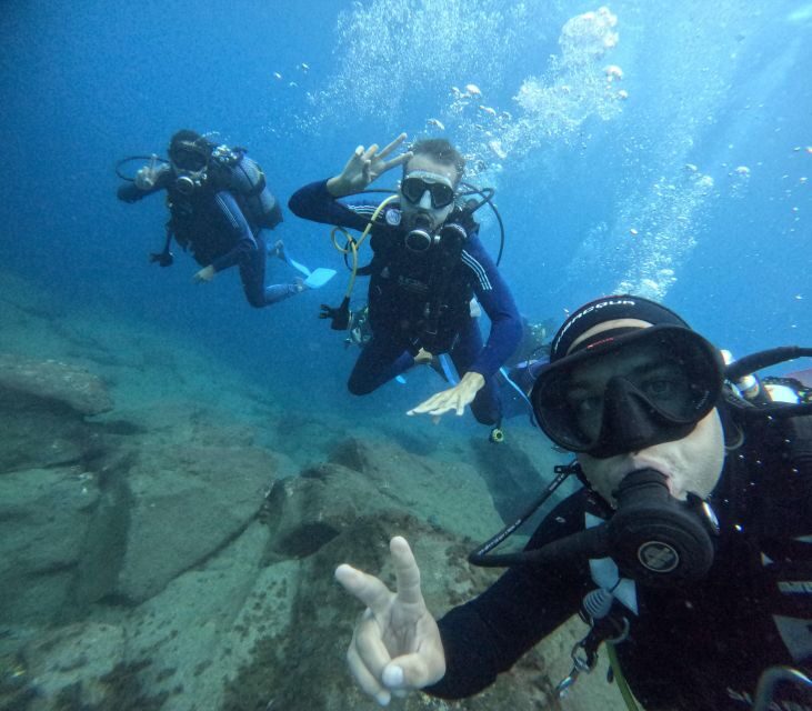 Tenerife: Beginner's Dive at a Spot with Turtle Sightings - A Detailed Look at the Tenerife Beginner’s Dive Tour