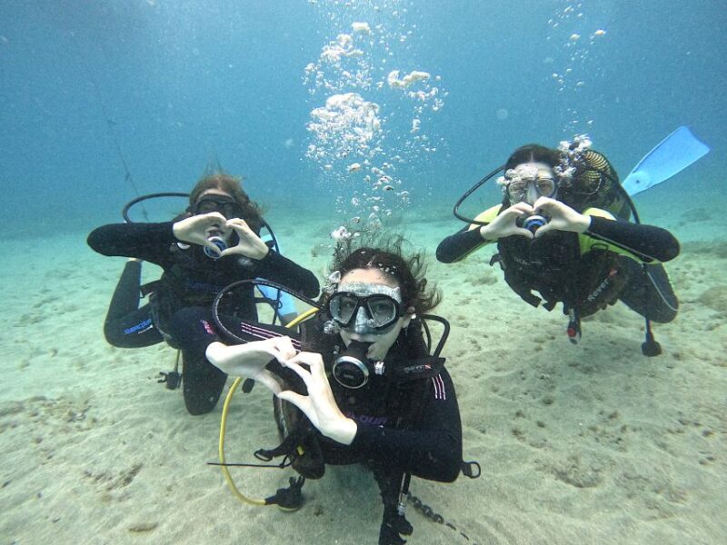 Tenerife: Beginner's Dive at a Spot with Turtle Sightings - Final Thoughts