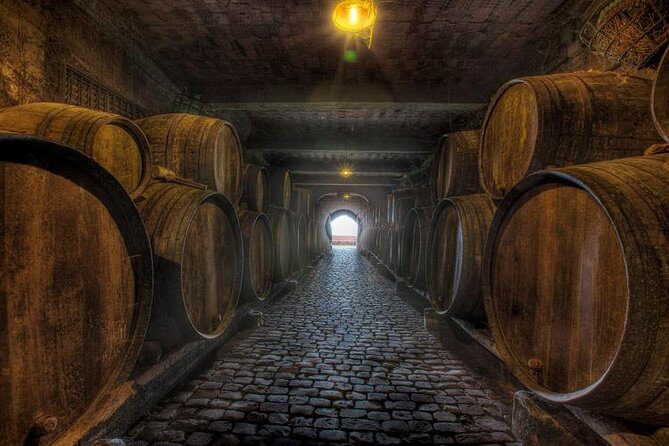 Tenerife Bodegas Monje Winery Tour with Wine and Cheese Tasting - Diving Into the Experience: What to Expect on This Tenerife Winery Tour