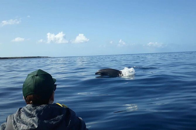 Tenerife by Kayak Adventure in small group - Final Thoughts