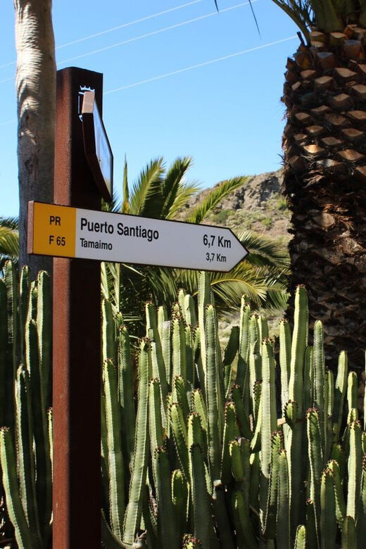 Tenerife : Camino Real hike - Is This Tour Right for You?
