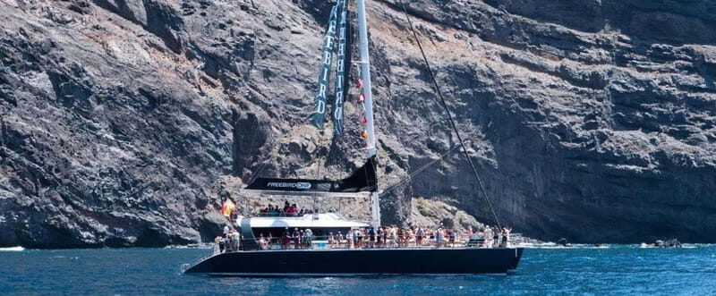 Tenerife: Catamaran Cruise with an Open Bar - The Value and Why It Matters
