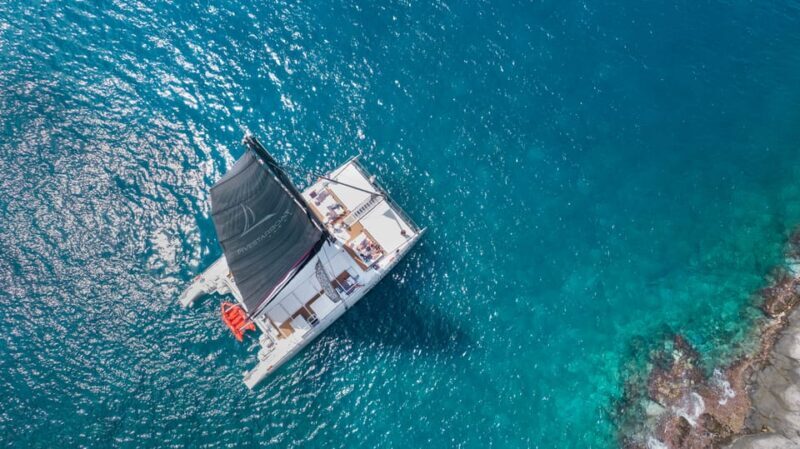 Tenerife: Catamaran Cruise with Brunch and Unlimited Drinks - Wildlife and Water Activities: What You’ll Likely See