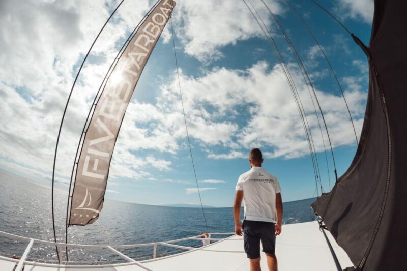 Tenerife: Catamaran Cruise with Brunch and Unlimited Drinks - Who Should Consider This Tour?