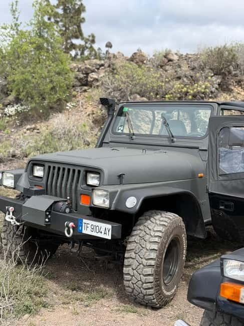 Tenerife: Coastal tour in a Jeep Wrangler to Los Gigantes and the South Coast - Tenerife: Coastal tour in a Jeep Wrangler to Los Gigantes and the South Coast