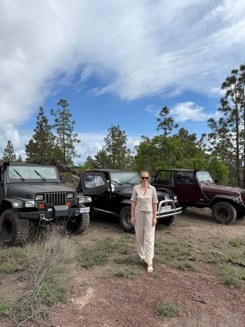 Tenerife: Coastal tour in a Jeep Wrangler to Los Gigantes and the South Coast - The Sum Up