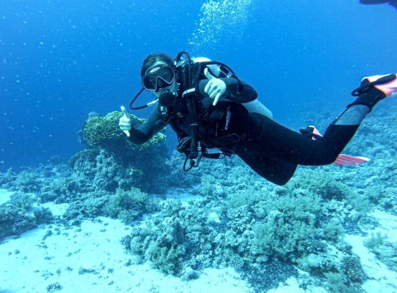 Tenerife - Discover Scuba Diving Experience with Instructor - In-Depth Breakdown of the Itinerary
