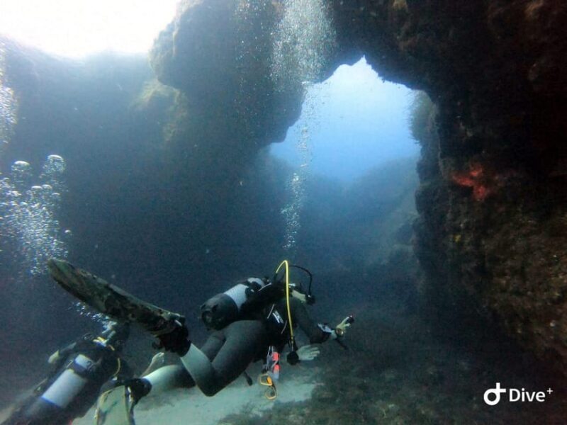Tenerife - Discover Scuba Diving Experience with Instructor - Important Considerations