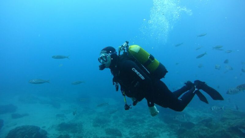 Tenerife: Discover Scuba Diving with Free Photos - Key Points