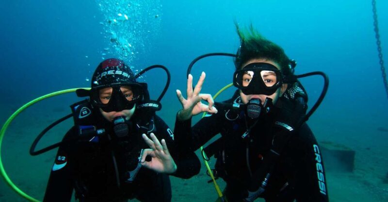 Tenerife: Discover Scuba Diving with Free Photos - The Starting Point: Marina South at Puerto de las Galletas