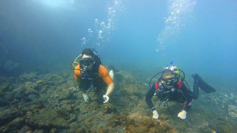 Tenerife: Discover Scuba Diving with Free Photos - The Photos: Documenting Your Undersea Adventure