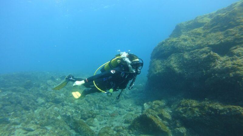 Tenerife: Discover Scuba Diving with Free Photos - The Return: Back to Marina South
