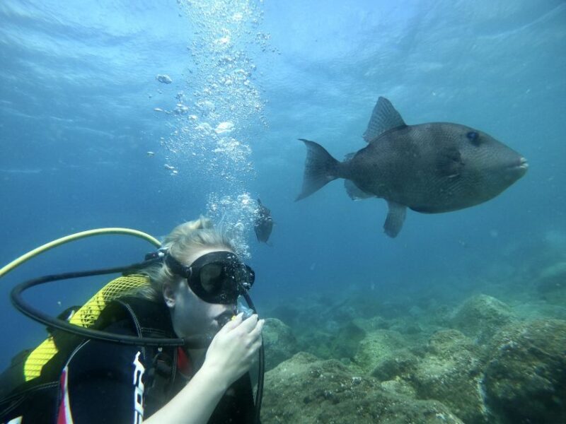 Tenerife : Diving License in one day - FAQ