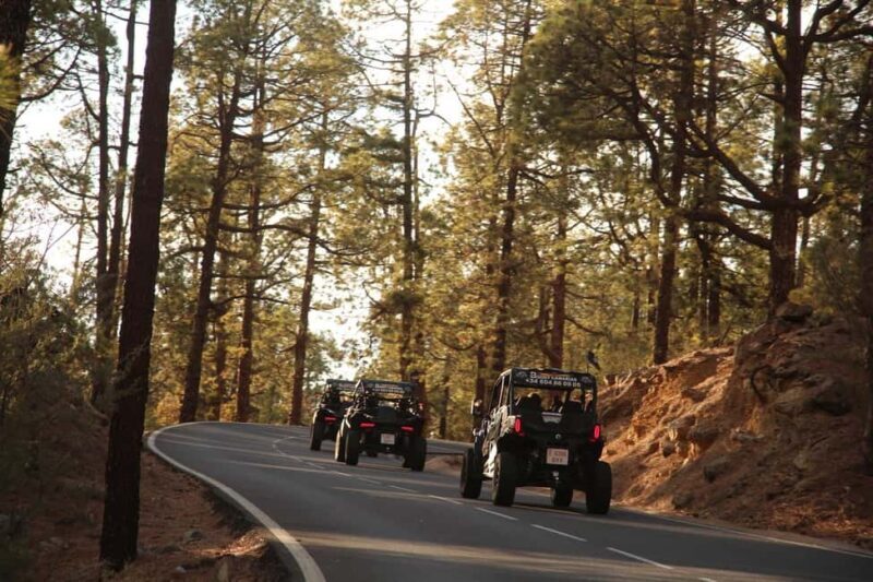Tenerife: FAMILY 4SEATS- Morning or Sunset Teide Buggy tour - Frequently Asked Questions