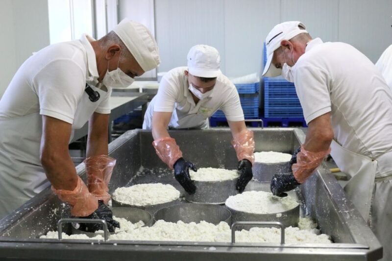 Tenerife - Farm Tour with Cheese Tasting - Who Will Enjoy This Tour?