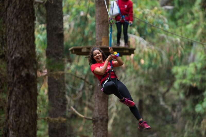 Tenerife: Forestal Park Tenerife Entry Ticket - Practical Details and Tips