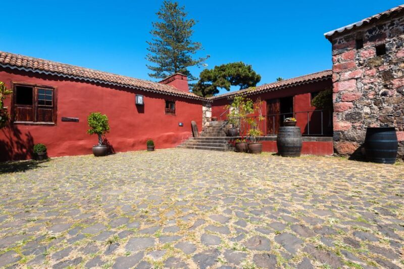 Tenerife: Full-Day Gastronomy and Wine Tour - FAQ