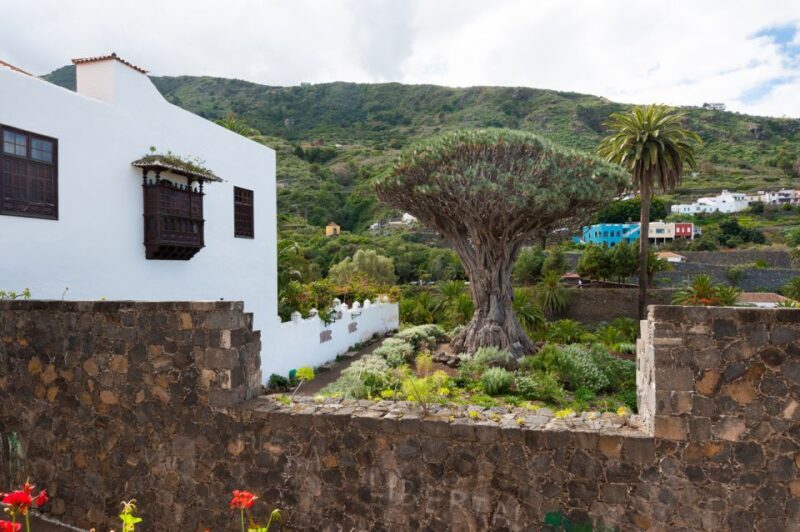 Tenerife: Full-Day Guided Island Tour - Final Thoughts
