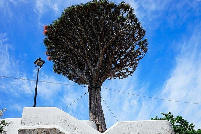 Tenerife Full Island Tour - Final Words: Is It Worth It?