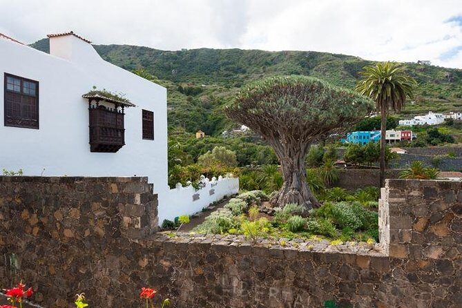 Tenerife Full Island Tour - FAQ