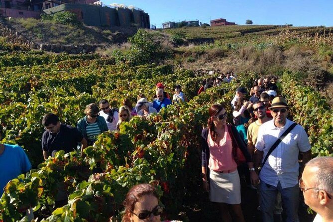 Tenerife Gastronomy Tour with Two Winery Visits and 4-Course Lunch - Frequently Asked Questions
